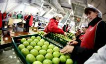 Les alsaciennes à Alger en quête de marchés