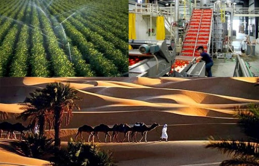 Les opportunités de partenariat entre l’Algérie et l’Indonésie mises en exergue à Biskra