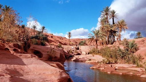 Les sites touristiques de Naâma ont attiré plus de 10.000 touristes en 2015