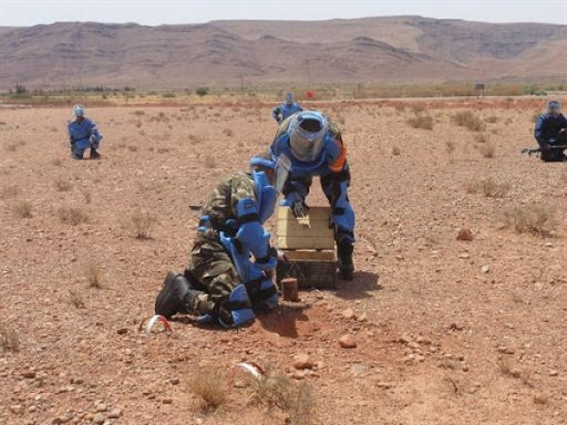 L&rsquo;opération de déminage des zones frontalières bientôt achevée