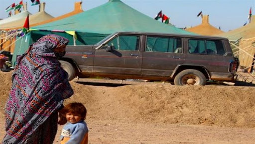 Plus de 13000 mines détruites par l’armée sahraouie depuis 2006