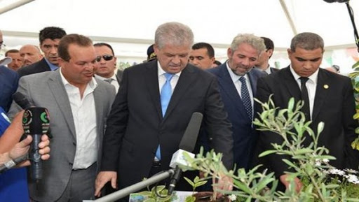 Sellal appelle à gagner la bataille de l&rsquo;agriculture