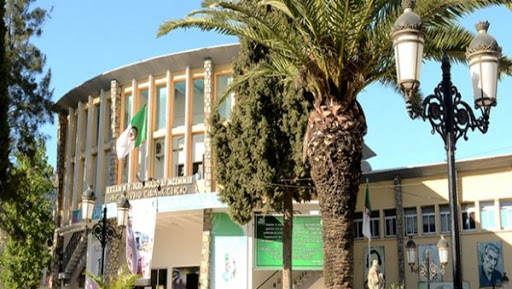 Tizi Ouzou: Ali Hadj Tahar présente ses deux ouvrages consacrés à la peinture algérienne