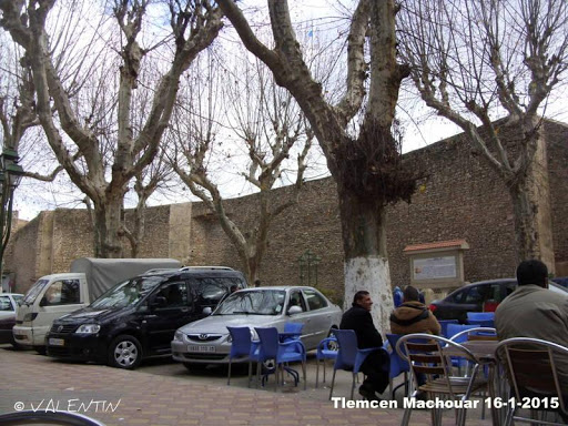 Tlemcen : Une journée particulière sans voitures