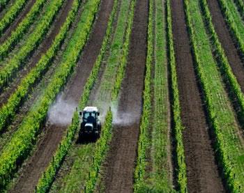 Un projet ansej bloqué durant 4 ans: Le grain de sable administratif