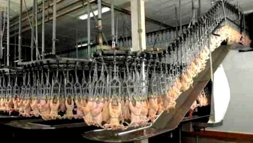 Un projet d’arrêté interministériel pour la gestion et le fonctionnement des abattoirs en cours d’élaboration