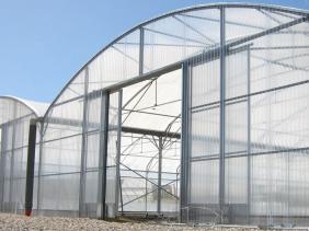 Usage des serres géantes dans l’agriculture : une entreprise algérienne casse les prix