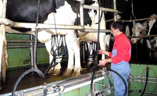 200 millions de dollars pour une ferme pilote agricole