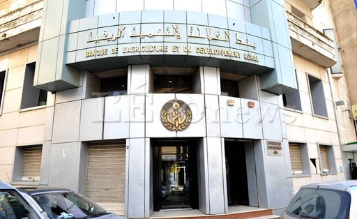 50 000 microcrédits accordés par la Badr en trois ans