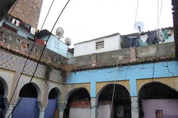 700 agressions perpétrées contre l&rsquo;environnement