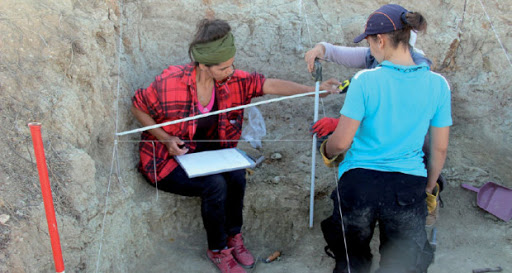 Aïn Témouchent : un don de 24 millions d’euros pour poursuivre les prospections archéologiques à Sidi Younès