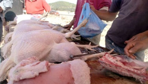 Blida: l’abattage avicole en zone urbaine prend une ampleur inquiétante