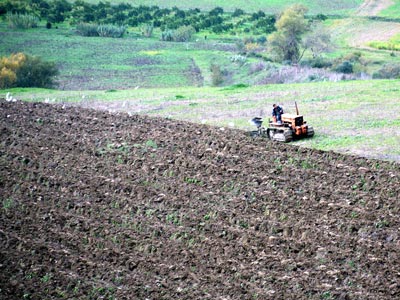 Bordj Bou Arreridj: accord de coopération entre les directions des services agricoles et de l’emploi