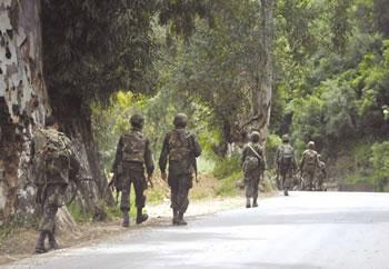 Bouira, Boumerdès et Tizi Ouzou: 15 terroristes éliminés en mai