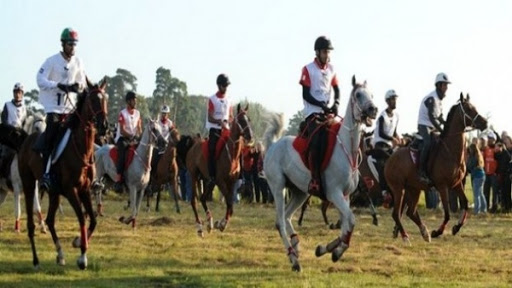 Concours international d&rsquo;endurance CEI deux étoiles le 7 mai à Tiaret
