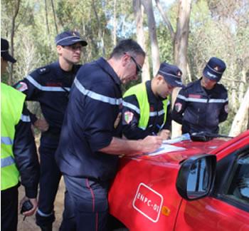 Coopération entre pompiers algériens et français: Formation sur les feux de forêts