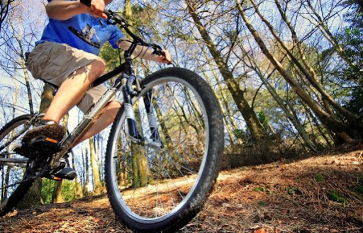 Cyclisme: Plus de 100 participants au challenge africain de VTT vendredi à Alger