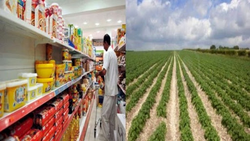 Des opérateurs insistent sur les opportunités d’investissement en Algérie et en Hongrie