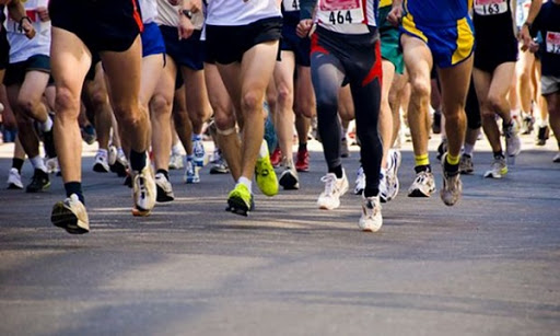 Des participants au semi-marathon de Bruxelles expriment leur solidarité avec le peuple sahraoui