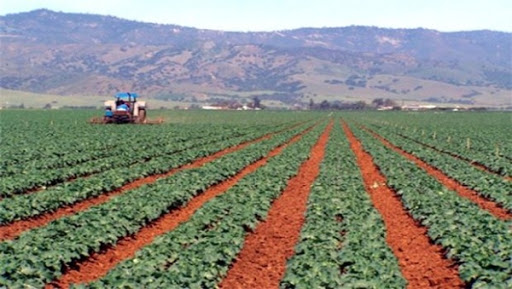 Échanges dans le domaine agricole 25: entreprises françaises prospectent à Alger