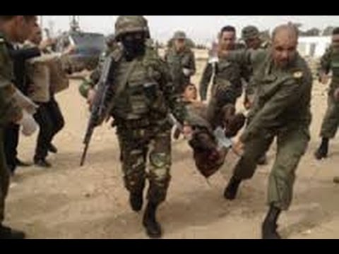 Elimination d&rsquo;un cinquième terroriste et récupération de son arme à Skikda