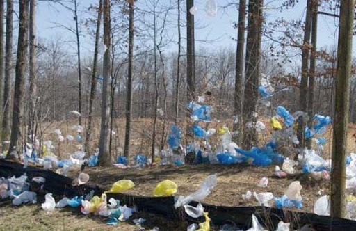 Environnement : Sacs plastique, l’invasion