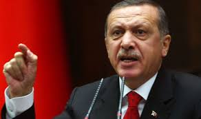 Erdogan estime que la Turquie est laissée « seule » contre Daech