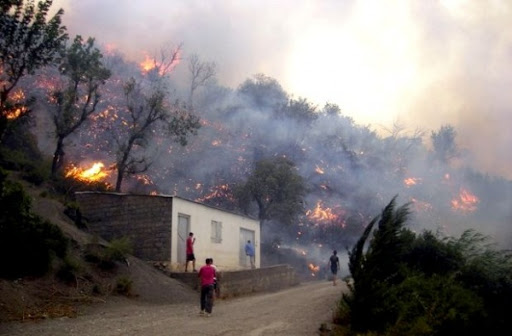 Feux de forêts: Rôle primordial des riverains pour réduire le risque