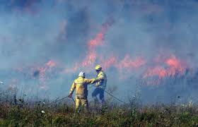 Forêt de Madagh : trois hectares de maquis ravagés par un incendie