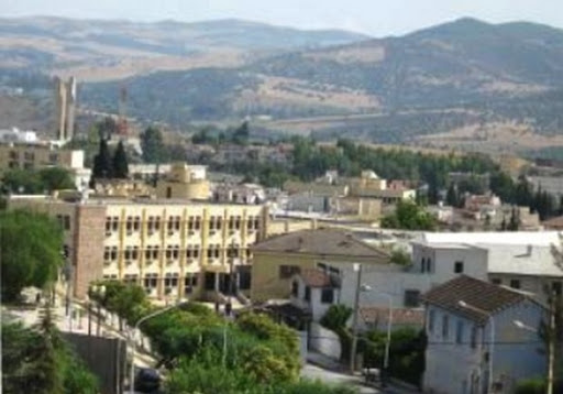 Guelma: Campagne de prévention contre les feux de forêt