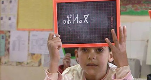 Khedri Hamza, à propos de la Constitutionnalisation de tamazight : «une portée stratégique et une réponse à une revendication»