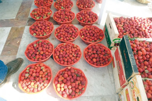 La manifestation a lieu chaque année Skikda fête sa fraise