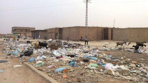 La protection de l’environnement implique une mobilisation de toutes les capacités locales