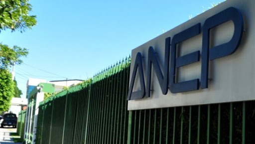 L’Anep décernera début juillet le Prix « Les amis du livre »