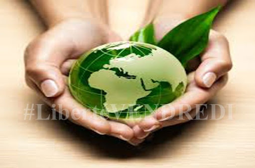 Le guide de l’Algérien écolo