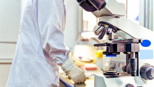 Le prix d’excellence pour la promotion des programmes de mobilité hispano arabe décerné à l’Algérie