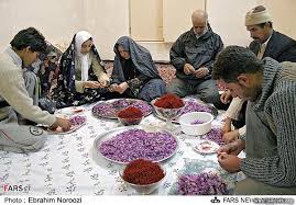 Les agriculteurs des Aurès optent pour l&rsquo;or rouge