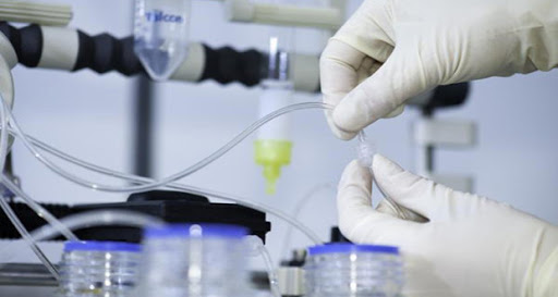 Lutte contre le cancer : un produit synthétique mis au point par un chercheur algérien