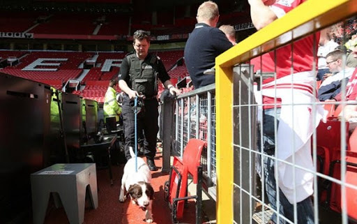 Manchester United – Bournemouth : Le massacre a été évité