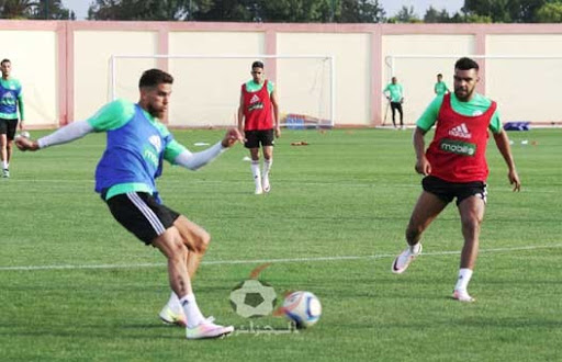 Medjani : «Ce serait dramatique si l’avenir de la sélection dépendait …»