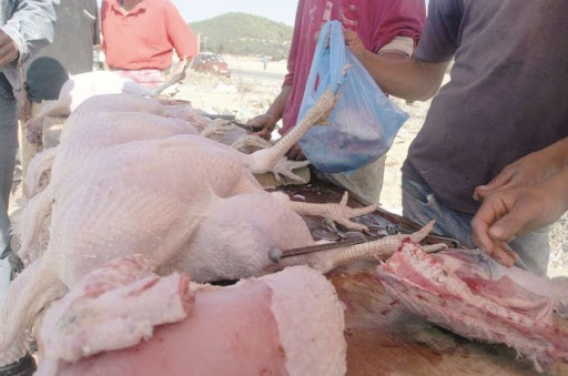 Mostaganem: Arnaque sur la viande de poulet