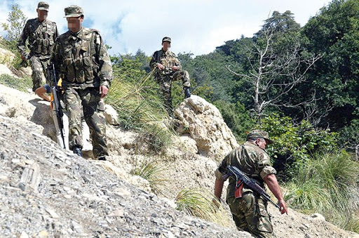 Onze éléments de Daech toujours encerclés à Aïn Turk (Bouira): L’ANP ressert l’étau