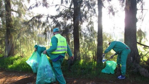 Opération de nettoiement à la forêt récréative de la ville d&rsquo;Oum El-Bouaghi