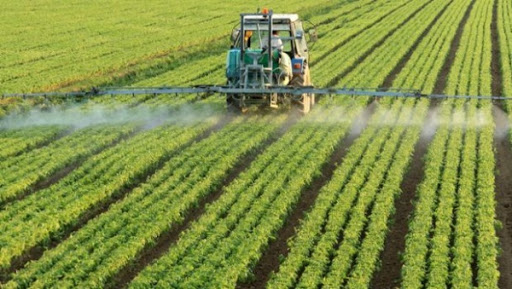 Pesticides: l&rsquo;ONU minimise le risque cancérogène du glyphosate