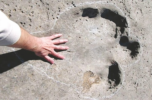 Protection du géopatrimoine en Algérie: Péril sur les sites d’empreintes de pas de dinosaures