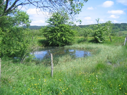 Quatre personnes, dont 3 adolescents, mortes noyées dans une mare d’eau à Djelfa