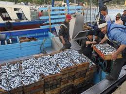 Ressources halieutiques: La période de repos biologique est-elle respectée?