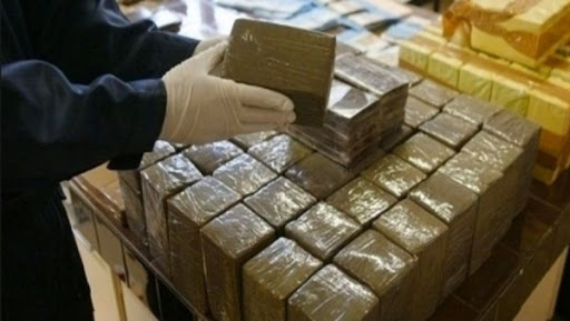 Saisie de 500 tonnes de kif traité à l’échelle nationale depuis 2010