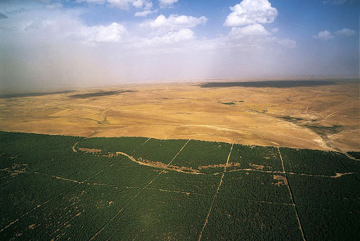 Selon le directeur général des forêts: La superficie du Barrage vert sera portée à quatre millions d’hectares