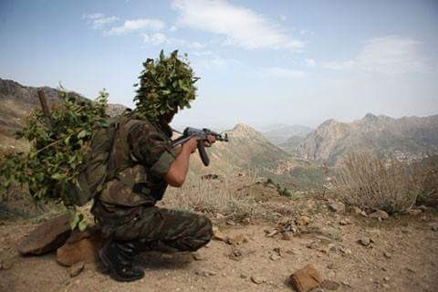 Six terroristes abattus dans la wilaya de Bouira